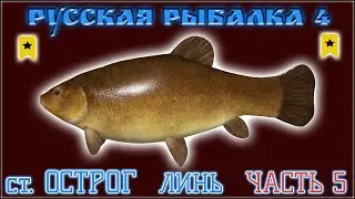 РР4 ОСТРОГ ЛИНЬ ТРОФЕЙ / РУССКАЯ РЫБАЛКА 4 ОСТРОГ ЛИНЬ / RUSSIAN FISHING 4 OLD BURG LAKE TENCH