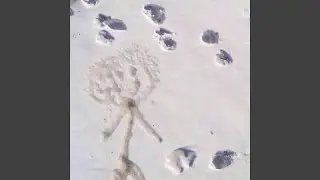 Бэнг бэнг