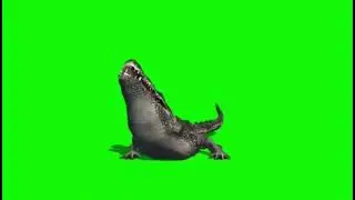 Green Screen - Alligator