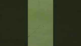 One year later and we're still asking... how did this not go in?!?!?!? 🤯 