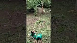 Ecopark Restoration #nature