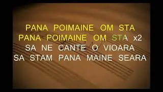 Ion Paladi Sa ne cante o vioara KARAOKE 2024