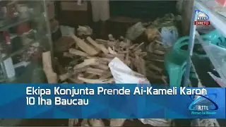Ekipa Konjunta Prende Ai Kameli Karon 10 Iha Baucau