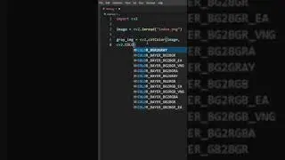 Convert a image into a grayscale Image using OpenCV