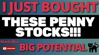 BEST PENNY STOCKS TO BUY NOW {February} Growth Stocks 2021