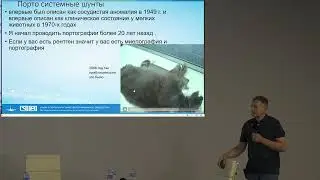 Шунты у кошек и собак Новосибирск