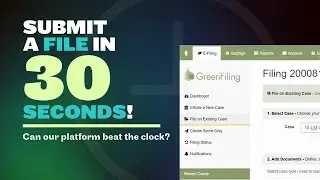 Lightning-fast E-Filing in 30 Seconds!