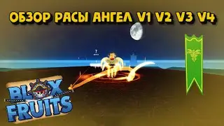 Обзор расы Ангел V1 V2 V3 V4 в Блокс Фрукт Роблокс