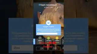 СИНИЙ ЛИНЕЙНЫЙ КАРП 