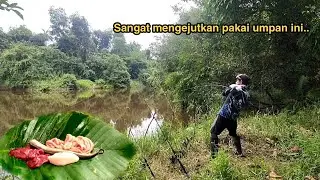 Luar biasa//Umpan berProtein tinggi yang disukai ikan² liar #umpanjitu  #mancingikan #hokimancing