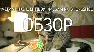 Купить Мегаминкс ШенгШоу обзор | ShengShou Megaminx review | cubeday.com.ua