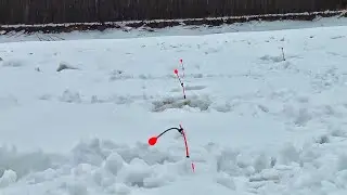 Ого!! Вот это загибы!!! РЫБАЛКА на самую бешеную рыбу ! Ловля на комбайны