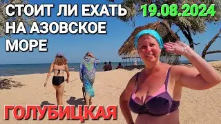 Пн, 19 авг. 2024 