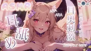 ASMR｜ARA ARA讓姊姊來疼愛你的耳朵❤️舔耳特輯｜ 귀 핥기｜あらあら❤️ 脳がゾクゾク 耳舐め｜ Ear licking  Eat your ears【バイノーラル/BINAURAL】