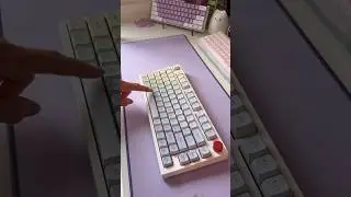 unboxing and sound test for the Epomaker TH80 pro (flamingo switches)