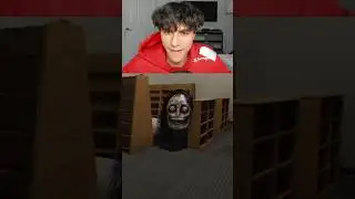 You turn around and see this.. wyd?
