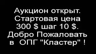 Добро Пожаловать  в ОПГ "Кластер"