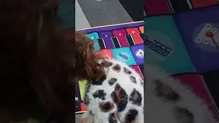 Музыкальная игрушка. Музыкальный коврик. 