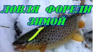 Ловля форели зимой.
