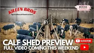 Killen Bros | Calf Shed Preview | Full video coming this weekend