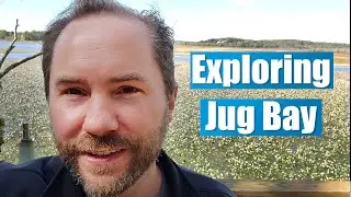 Exploring Jug Bay Wetlands Sanctuary in Anne Arundel County Maryland