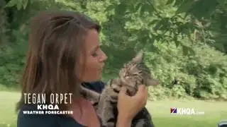 KHQA - Meet Tegan Orpet