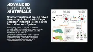 Brain-Derived Neurotrophic Factor with Release in the Central Nervous System