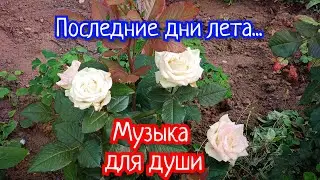 Последние дни лета. Музыка для души.