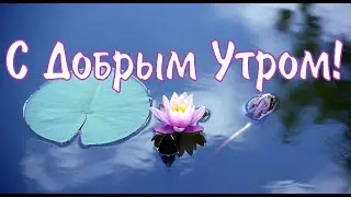 Пожелания С Добрым Утром.С Добрым Утром и Хорошим Днем! / ! Красивое пожелание С Добрым Утром🎈