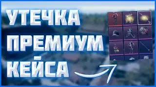 Утечки премиум кейса в пубг мобайл // Все скины в новом премиум кейса в пубг мобайл