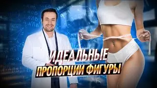 Как рассчитываются идеальные пропорции фигуры?