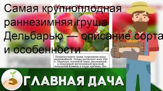 Ошибки принтера canon: коды ошибок и пути их решения