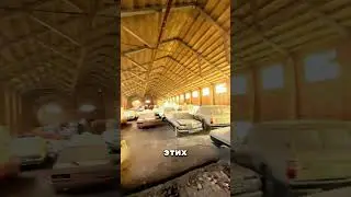 Путин был в шоке с коллекции Жириновского 😳