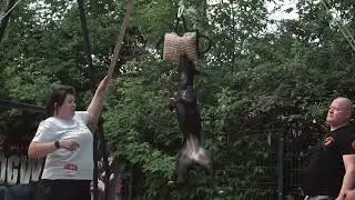 Команда DogsEnergym на соревнованиях DogWille. Спорт для собак.