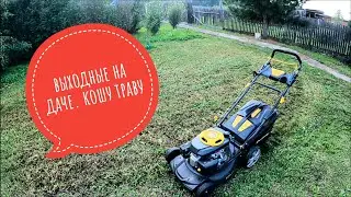Выходные на даче. Кошу траву #печуркинадача #дача #огород