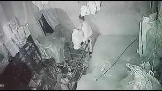 سرقة محل تجاري