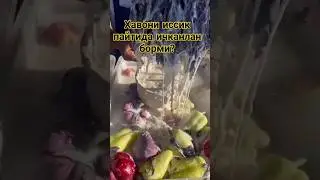 #rekomendasi