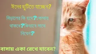 কিভাবে বিড়াল নিয়ে লম্বা জার্নি করবেন?ছুটিতে বিড়াল কোথায় রেখে যাবেন?বাসায় বন্দী করে রাখা যাবে কি?🤔