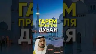 ❤️ Сколько жен и детей у шейха Дубая? #оаэ #дубай #жена #восток #любовь