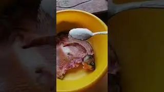 тарань под гнетом