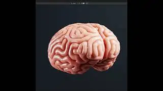 Brain Wrinkles Test Using Blender Geometry Nodes Reaction Diffusion #blender #geometrynodes #shorts