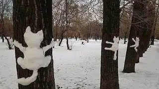 Кот и Снеговик. Кот на ДЕРЕВЕ. НОВОГОДНИЕ ЗАБАВЫ\CAT snowman on the tree.Christmas fun