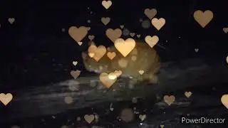 Славянск.15.12.22. Ночные шорохи и тайны. У меня пополнение.