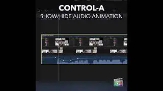 Final Cut Pro Shortcut | Control-A | Show/Hide Audio Animation
