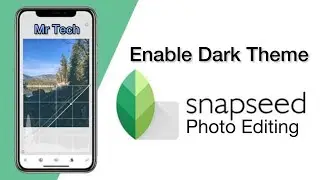 How to Enable Dark Theme in Snapseed Application