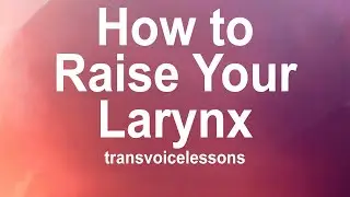 The Art of Voice Feminization | Part 2A: Larynx Basics, How to Raise the Larynx, and Common Issues