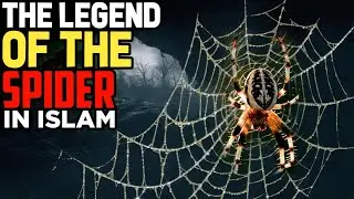 What did the Spider do to the Prophet: The Legend of the Spider