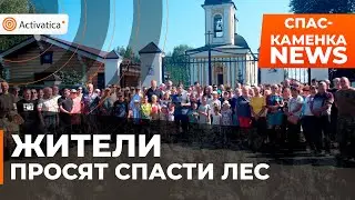 🟠Жители Спас-Каменки попросили СК помочь спасти лес