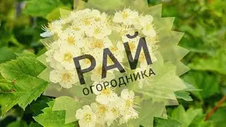 Магазин саддо-саддо-мазо-огород в Костанае🤣👍👍👍