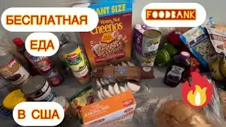 Бесплатная еда в США! Миф или реальность?! Что раздают в банках еды???